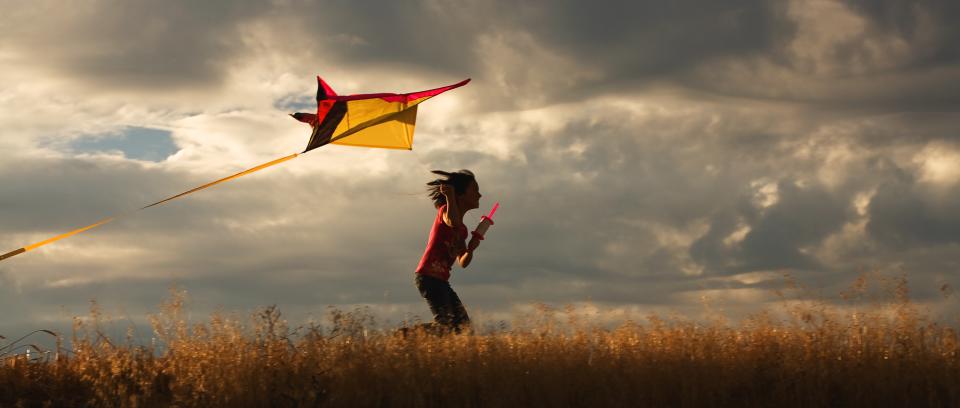 a-panorama-of-a-girl-happily-flying-her-kite-shutterbug